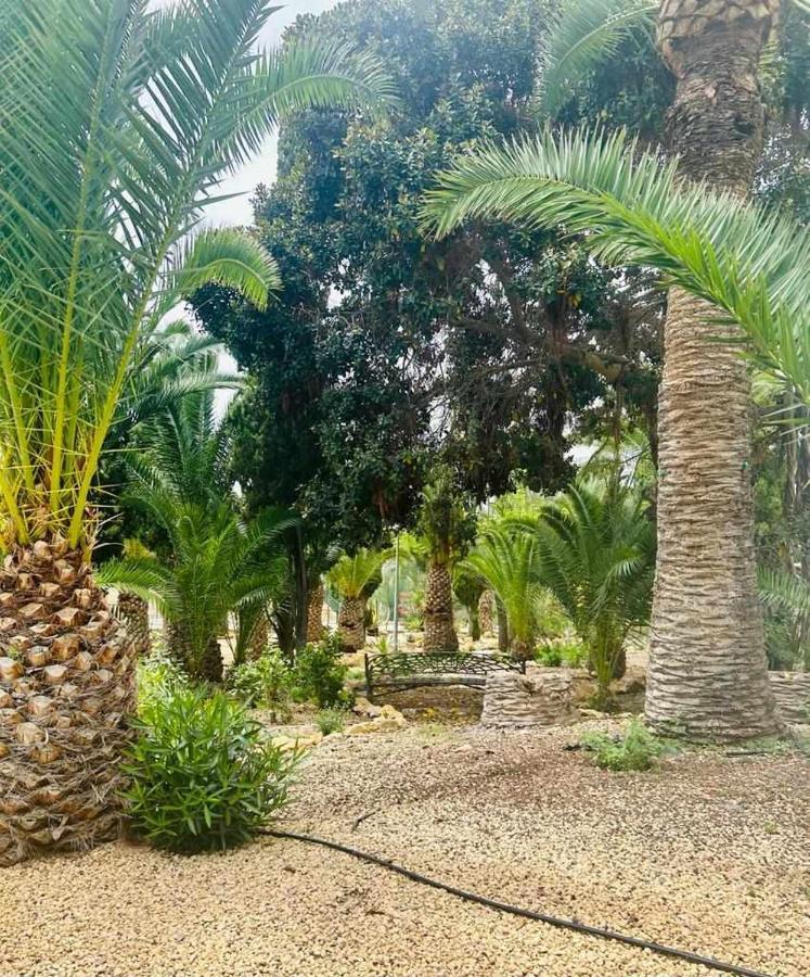 Apartment Sol Mediterraneo Palm 1