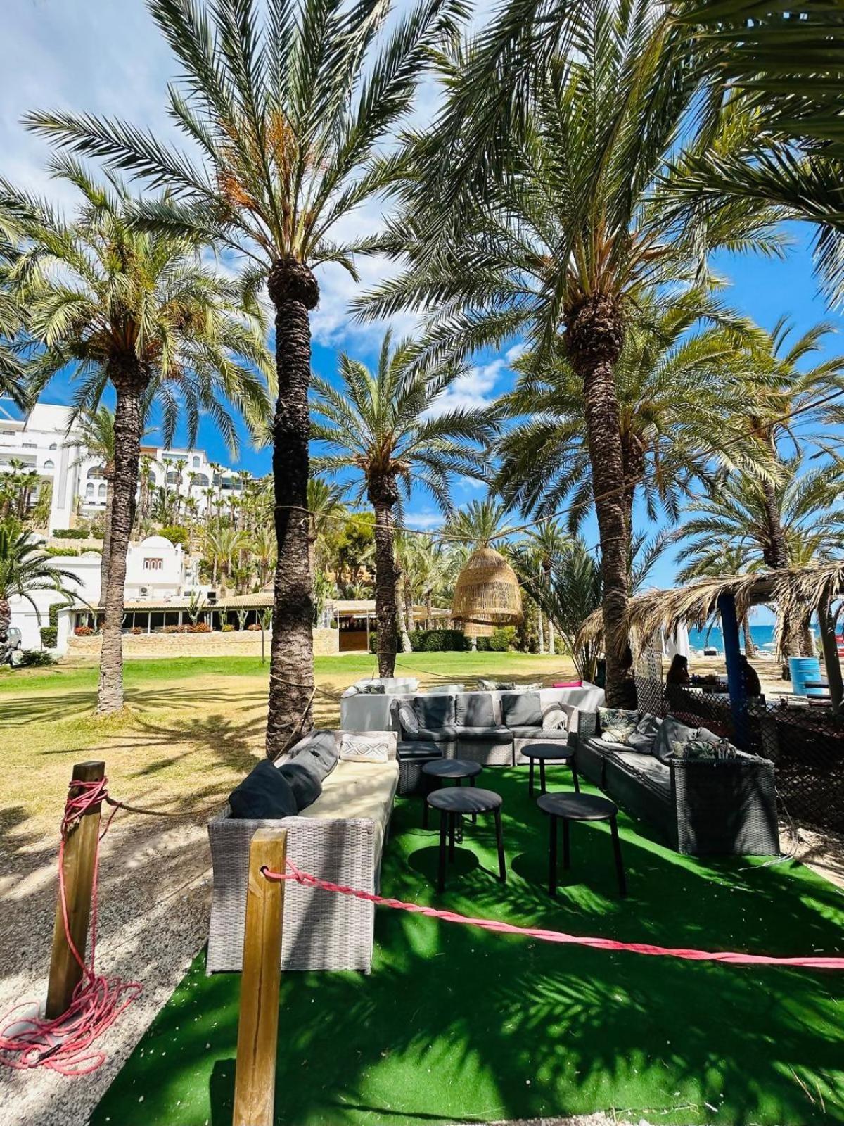 Apartment Sol Mediterraneo Palm 1